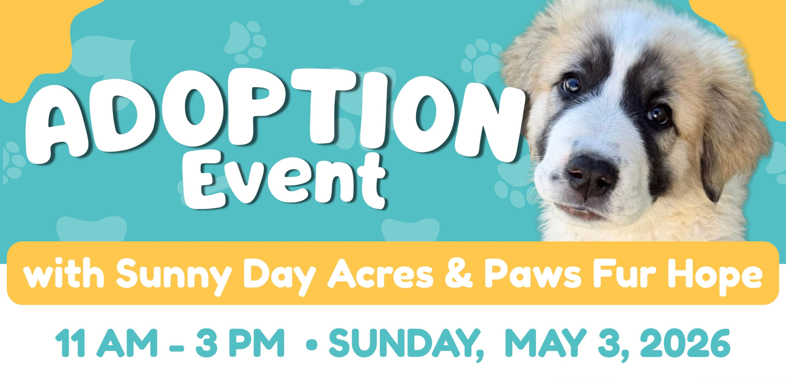 SunnyDays-PFH-May-3-web-email