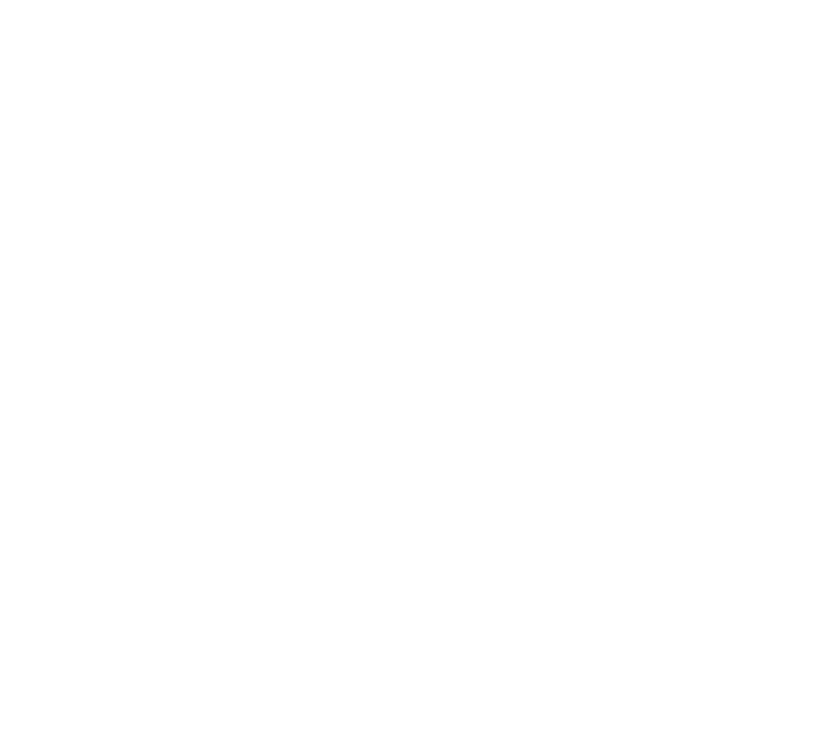 light logo